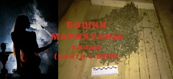 apvp Иннополис