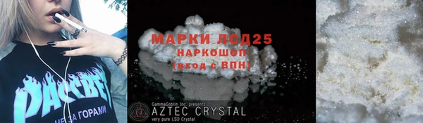 apvp Иннополис