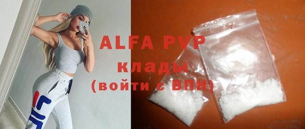 спайс Инта