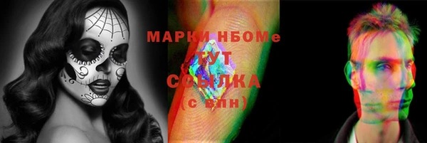 apvp Иннополис