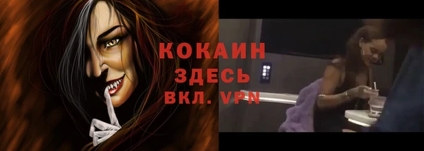 apvp Иннополис