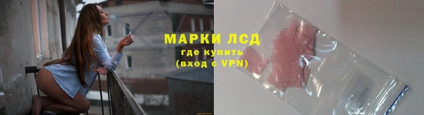 apvp Иннополис