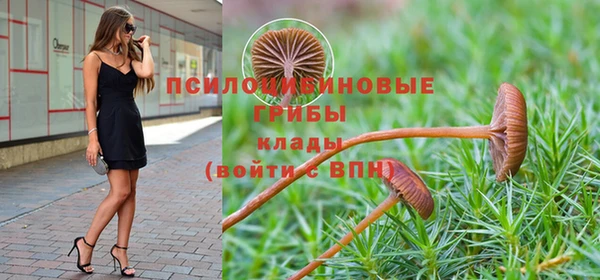 круглые Инсар