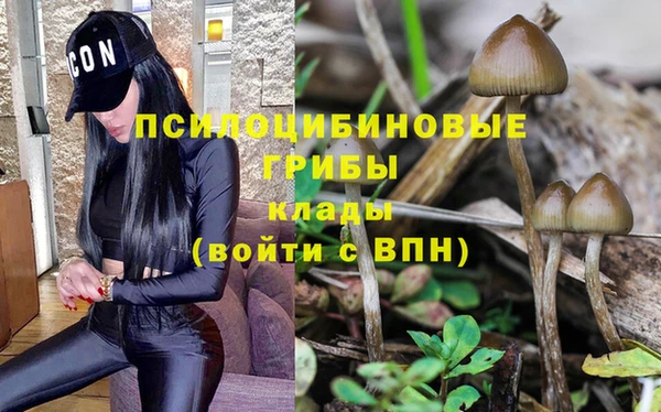 спайс Инта