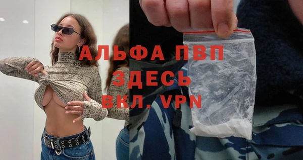 apvp Иннополис