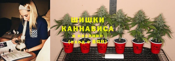 круглые Инсар
