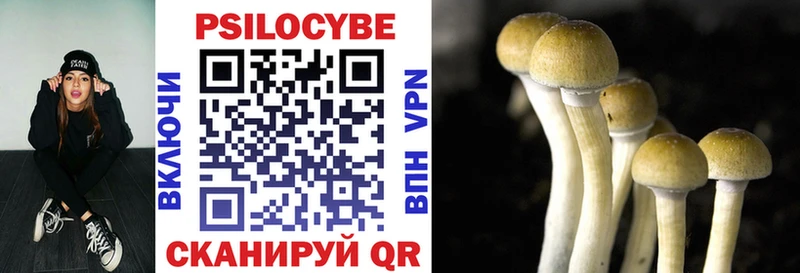 Купить  Калининск  Галлюциногенные грибы Magic Shrooms 
